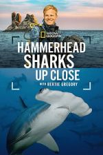 Watch Hammerhead Sharks Up Close with Bertie Gregory M4uhd
