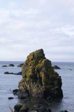 Watch Mad Little Island M4uhd