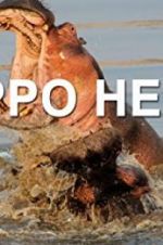Watch Hippo Hell M4uhd