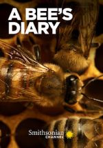 Watch A Bee\'s Diary (TV Special 2022) M4uhd