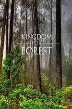 Watch National Geographic Kingdom of the Forest M4uhd