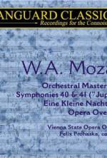 Watch Whiteforce M4uhd