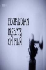 Watch Edwardian Insects on Film M4uhd