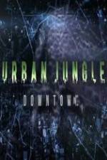 Watch National Geographic Wild Urban Jungle Downtown M4uhd