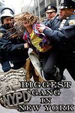 Watch NYPD: Biggest Gang in New York? M4uhd