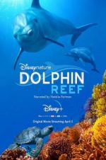 Watch Dolphin Reef M4uhd