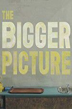 Watch The Bigger Picture M4uhd