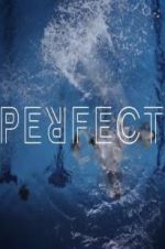Watch Perfect M4uhd
