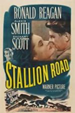 Watch Stallion Road M4uhd