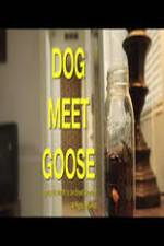 Watch Dog Meet Goose M4uhd