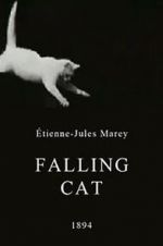 Watch Falling Cat M4uhd