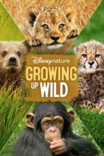 Watch Growing Up Wild M4uhd