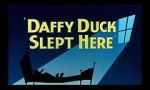 Watch Daffy Duck Slept Here (Short 1948) M4uhd