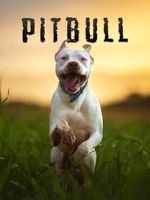 Watch Pitbull M4uhd