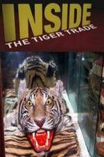 Watch Inside: The Tiger Trade M4uhd