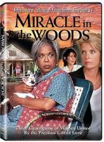 Watch Miracle in the Woods M4uhd