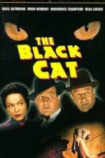 Watch The Black Cat M4uhd