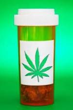 Watch Medicinal Cannabis and its Impact on Human Health M4uhd