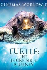 Watch Turtle The Incredible Journey M4uhd