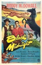 Watch Black Midnight M4uhd
