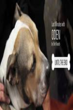 Watch Last Minutes with ODEN M4uhd