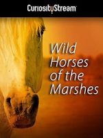 Watch Wild Horses of the Marshes M4uhd
