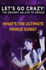 Watch Let\'s Go Crazy: The Grammy Salute to Prince M4uhd