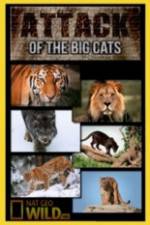 Watch National Geographic Attack Of The Big Cats M4uhd