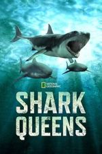 Watch Shark Queens M4uhd