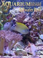 Watch Aquarium for Your Home: Saltwater Reef M4uhd