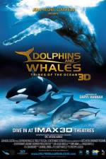 Watch Dolphins and Whales 3D Tribes of the Ocean M4uhd