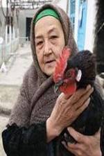 Watch The Telegram M4uhd