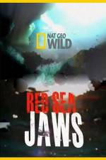 Watch National Geographic Red Sea Jaws M4uhd