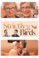 Watch Strictly for the Birds M4uhd