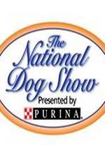 Watch National Dog Show M4uhd