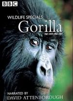 Watch Gorilla Revisited with David Attenborough M4uhd