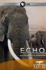 Watch Echo: An Elephant to Remember M4uhd