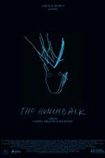 Watch The Hunchback M4uhd