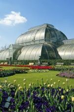 Watch Cruickshank on Kew: The Garden That Changed the World M4uhd