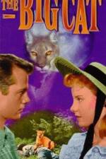 Watch The Big Cat M4uhd
