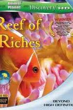 Watch Equator Reefs of Riches M4uhd