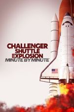 Watch Challenger Shuttle Disaster: Minute by Minute M4uhd