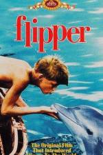 Watch Flipper M4uhd