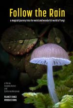 Watch Follow the Rain M4uhd