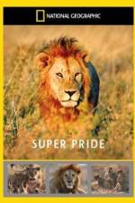Watch National Geographic: Super Pride  Africa's Largest Lion Pride M4uhd