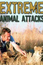 Watch Extreme Animal Attacks M4uhd