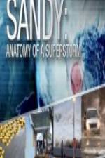 Watch Sandy Anatomy Of A Superstorm M4uhd