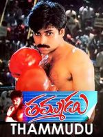 Watch Thammudu M4uhd