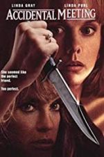 Watch Accidental Meeting M4uhd