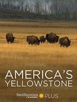 Watch America\'s Yellowstone M4uhd